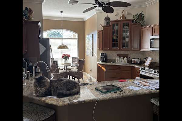 House sit in Ocala, FL, US