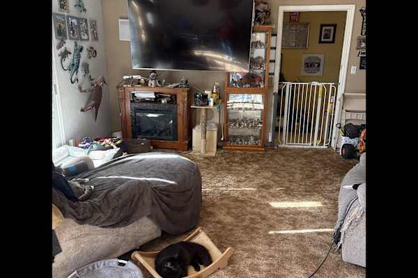 House sit in Edgewood, NM, US