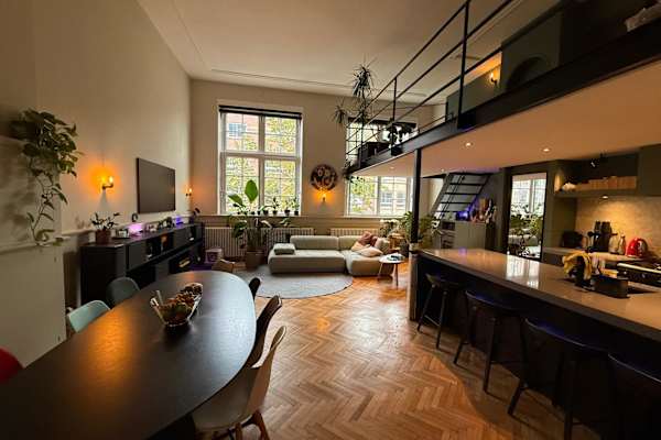 House sit in Amsterdam, Netherlands