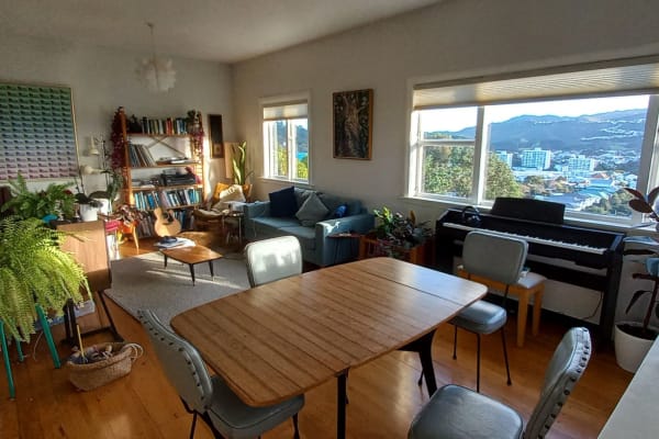 House sit in Wellington, New Zealand