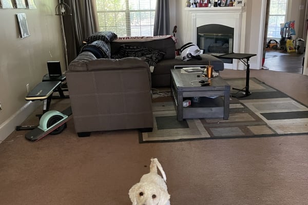 House sit in Philadelphia, PA, US