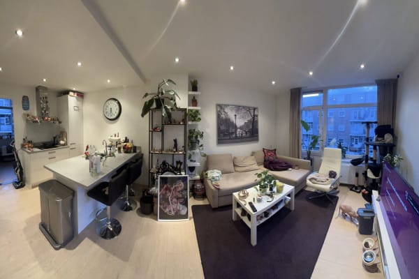 House sit in Rotterdam, Netherlands