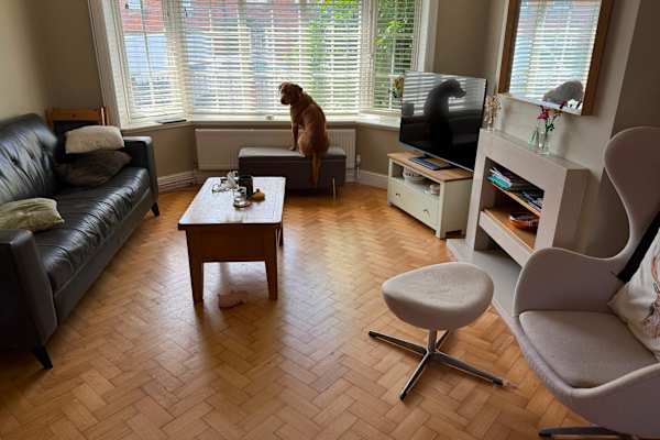 House sit in Chelmsford, United Kingdom