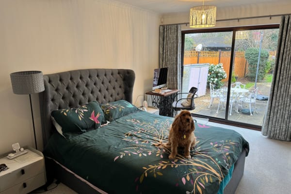 House sit in Claygate, United Kingdom