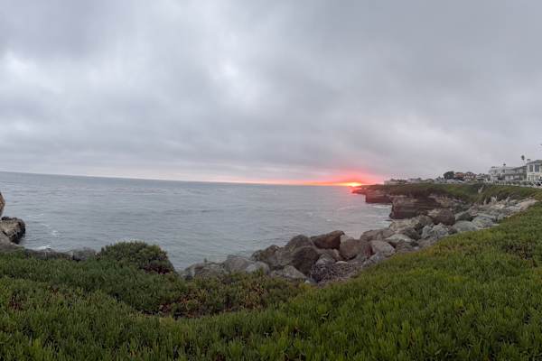 House sit in Santa Cruz, CA, US