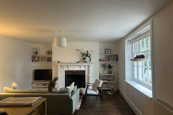 House sit in Blackheath, United Kingdom