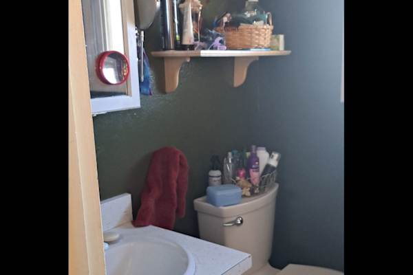 House sit in Florissant, CO, US