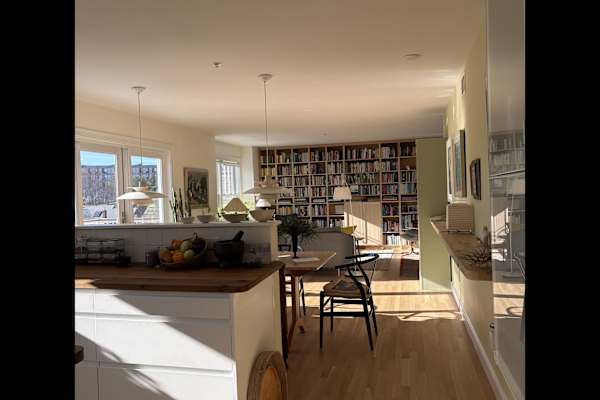 House sit in Cambridge, MA, US