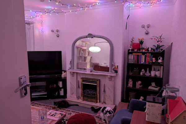 House sit in Newcastle upon Tyne, United Kingdom