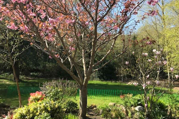 House sit in Kilmacanoge, Ireland