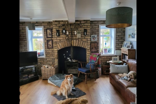 House sit in Longford, Ireland