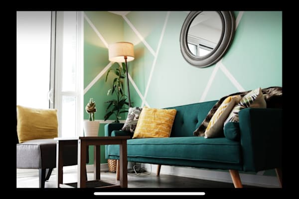 House sit in Toronto, ON, Canada