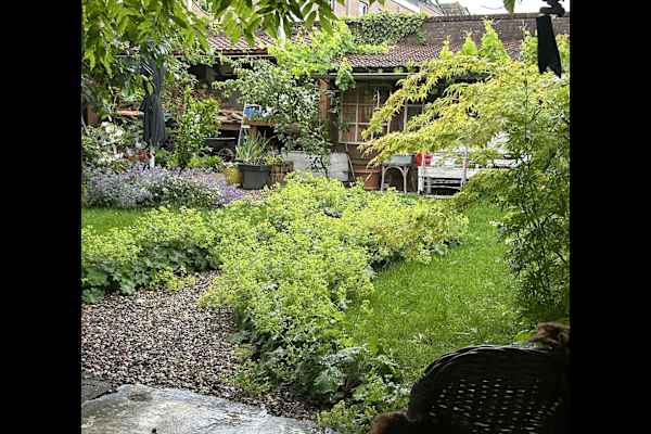 House sit in Dinteloord, Netherlands