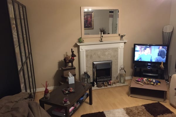 House sit in Arlesey, United Kingdom