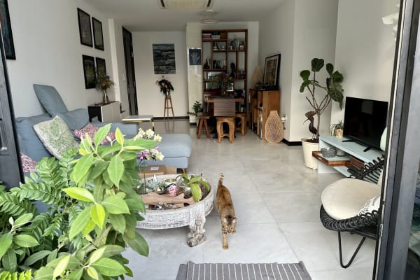 House sit in Singapore, Singapore