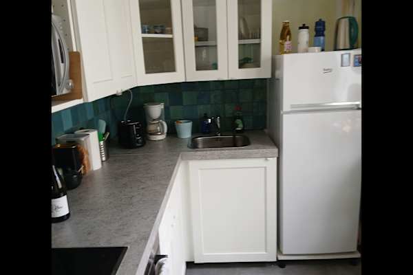 House sit in Zaragoza, Spain
