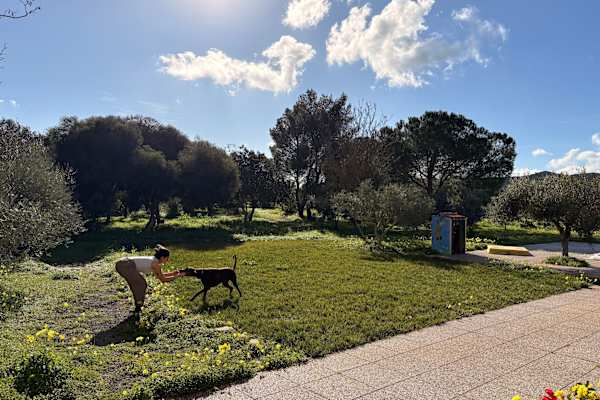 House sit in Uta, Italy