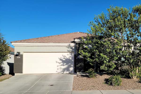 House sit in Marana, AZ, US