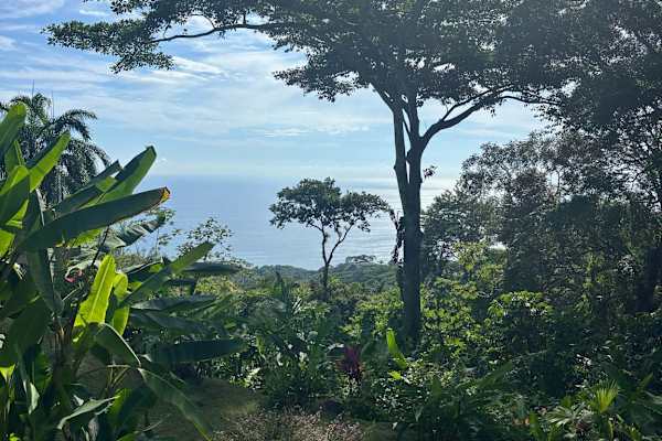 House sit in Dominical, Costa Rica