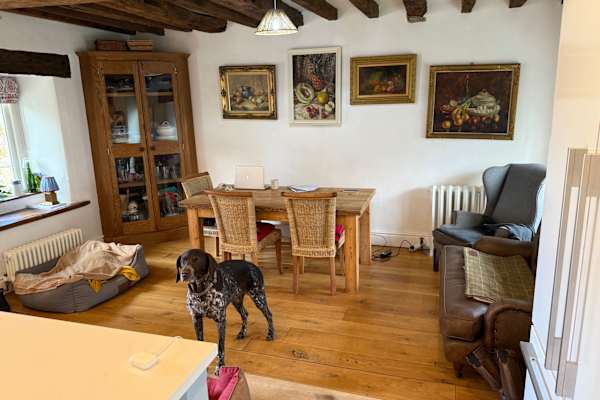 House sit in Matlock, United Kingdom