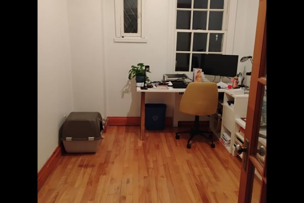 House sit in Montréal, QC, Canada