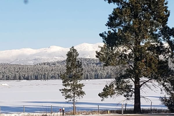 House sit in Whitefish, MT, US
