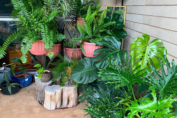 House sit in Alice Springs, Northern Territory, Australia