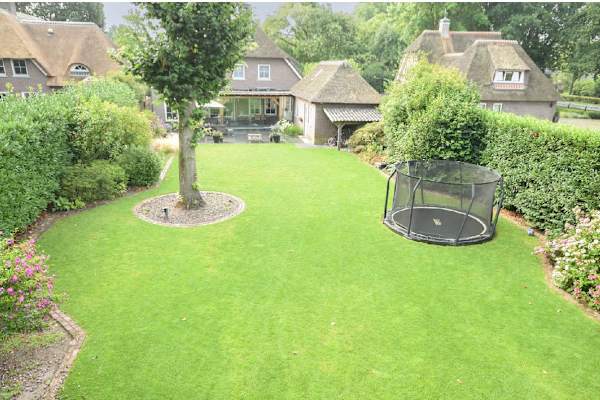 House sit in Eindhoven, Netherlands