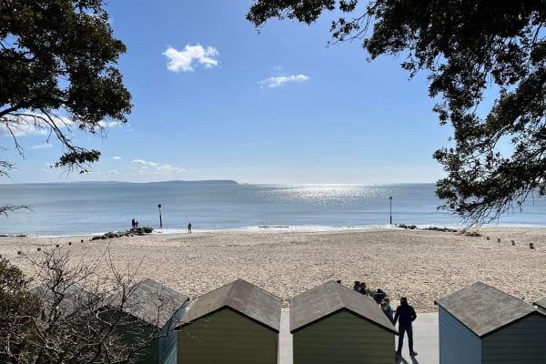 House sit in Poole, United Kingdom