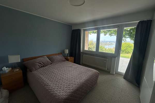 House sit in Koblenz, Germany