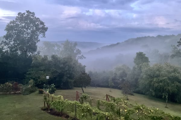 House sit in Valles Mines, MO, US
