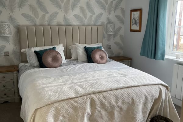 House sit in Bideford, United Kingdom