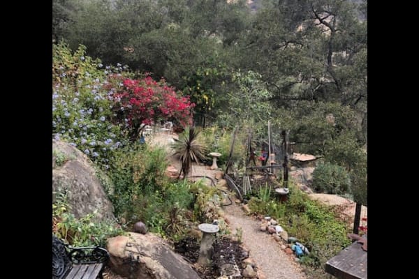 House sit in Topanga, CA, US