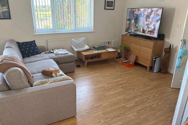 House sit in Redruth, United Kingdom