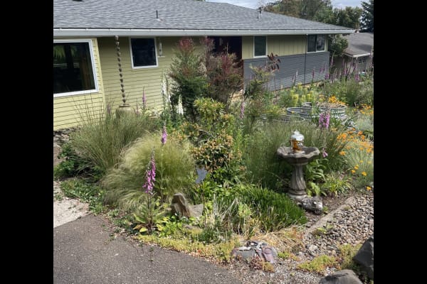House sit in Dundee, OR, US