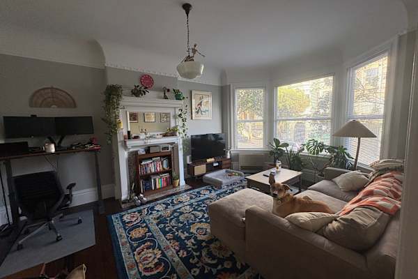 House sit in San Francisco, CA, US