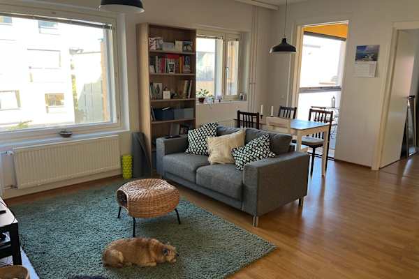 House sit in Helsinki, Finland