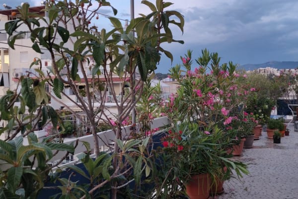 House sit in Athens, Greece