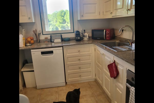 House sit in Alcúdia, Spain