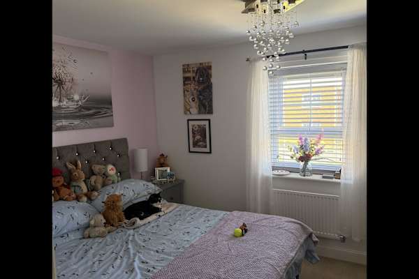 House sit in Peacehaven, United Kingdom