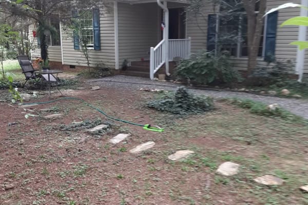 House sit in Mebane, NC, US