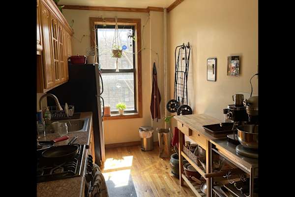 House sit in Brooklyn, NY, US