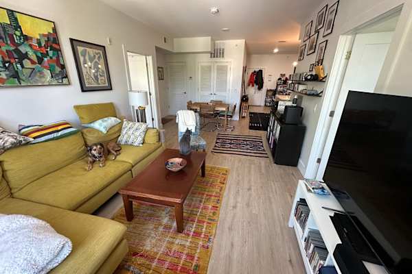 House sit in New York City, NY, US