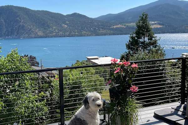 House sit in Chelan, WA, US