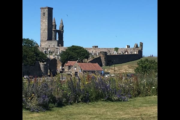 House sit in Saint Andrews, United Kingdom