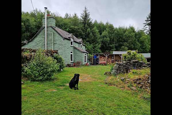 House sit in Corwen, United Kingdom