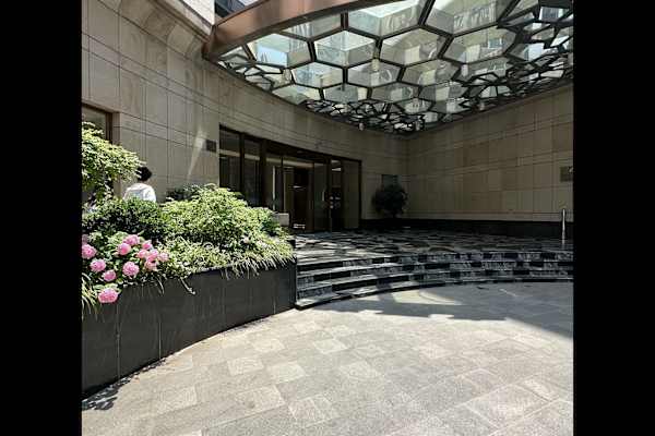 House sit in Shanghai, China