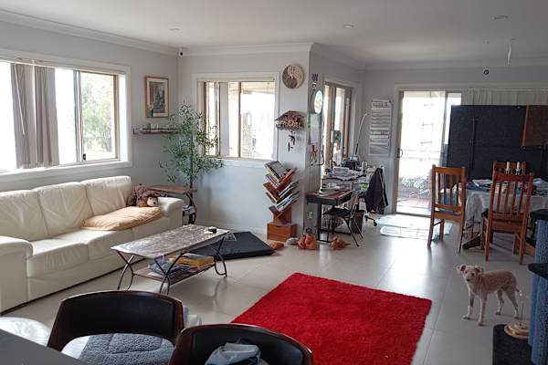 House sit in Gold Coast, QLD, Australia