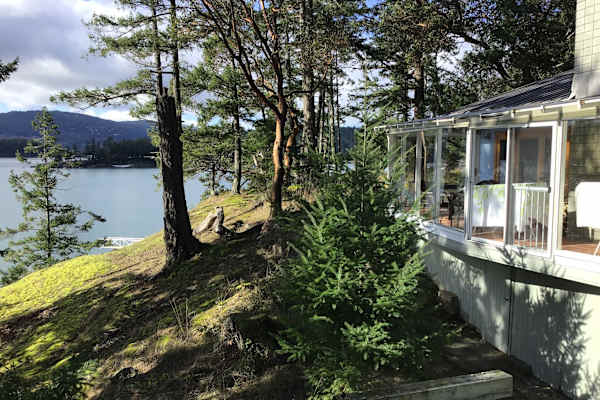 House sit in Victoria, BC, Canada