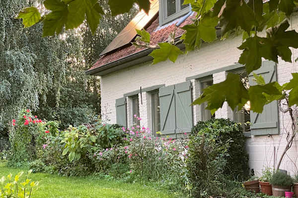 House sit in Kersbeek-Miskom, Belgium